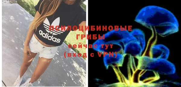 молекула духа Новозыбков